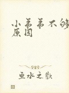 小弟弟不够硬的原因