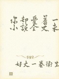 你却爱着一个他小说全文未删减免费封面