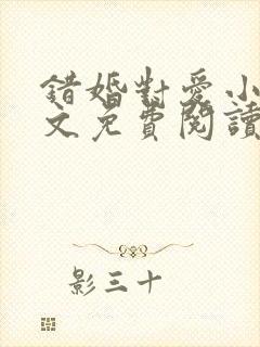 错婚对爱小说全文免费阅读封面