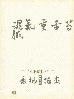 湿气重舌苔白厚腻