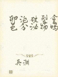 卵泡破裂会有黄色分泌物吗