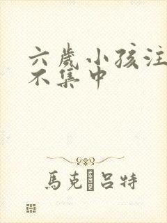 六岁小孩注意力不集中封面