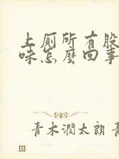 上厕所有股腥臭味怎么回事