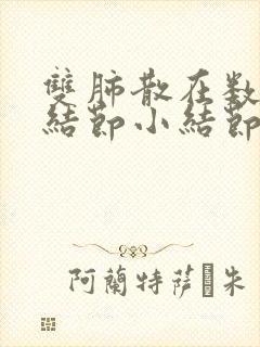 双肺散在数个微结节小结节