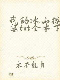 我的冰山总裁老婆txt全本下载