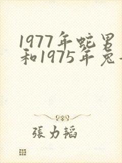 1977年蛇男和1975年兔女相配吗封面