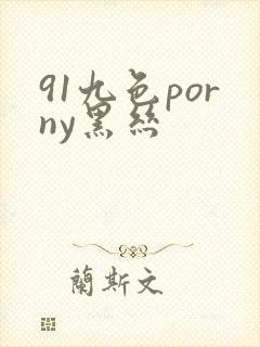 91九色porny黑丝