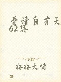 爱情自有天意第62集