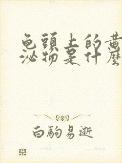 龟头上的黄色分泌物是什么