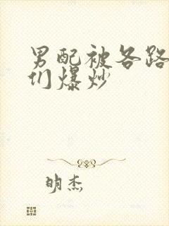 男配被各路大佬们爆炒封面