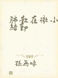 肺散在微小实性结节