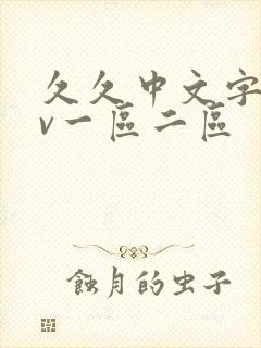 久久中文字幕av一区二区