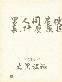 男人同房硬不起来,什么原因封面