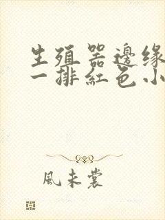 生殖器边缘多了一排红色小疙瘩