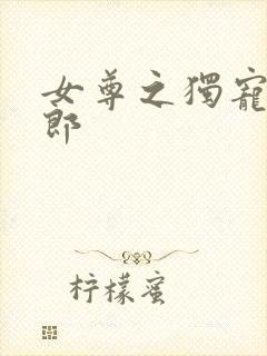 女尊之独宠丑夫郎