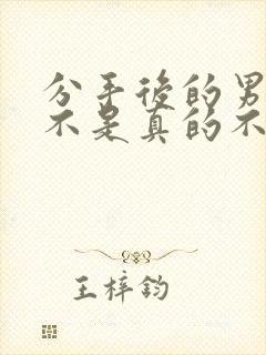 分手后的男人是不是真的不爱了