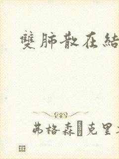 双肺散在结节影封面