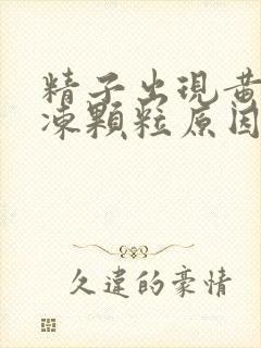 精子出现黄色果冻颗粒原因