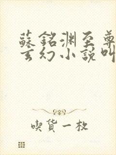 苏铭渊至尊血脉玄幻小说叫什么封面