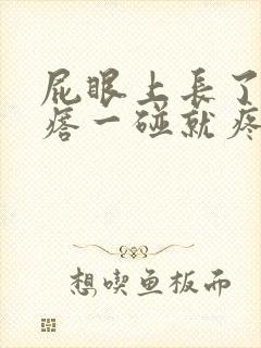 屁眼上长了个疙瘩一碰就疼