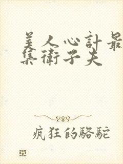 美人心计最后一集卫子夫