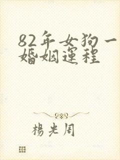 82年女狗一生婚姻运程封面