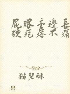 屁眼旁边长了个硬疙瘩不痛不痒封面