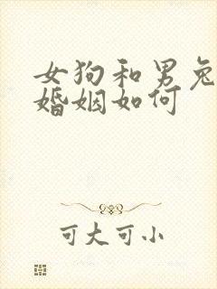 女狗和男兔相配婚姻如何