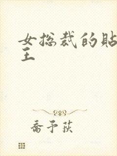 女总裁的贴身战王