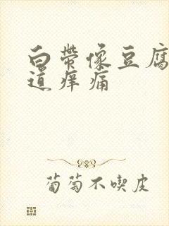 白带像豆腐渣阴道痒痛