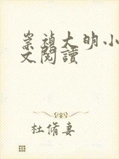 崇祯大明小说全文阅读