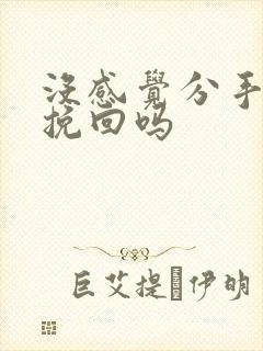 没感觉分手还能挽回吗封面