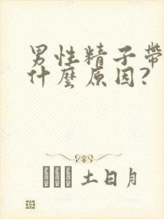 男性精子带血是什么原因?