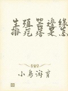 生殖器边缘长一排疙瘩是怎么回事