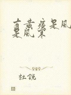 有黄痰是风热还是风寒