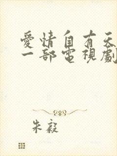 爱情自有天意第一部电视剧免费