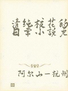清纯校花的堕落日常小说免费阅读封面