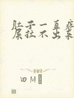 肚子一直疼想拉屎拉不出来怎么回事封面