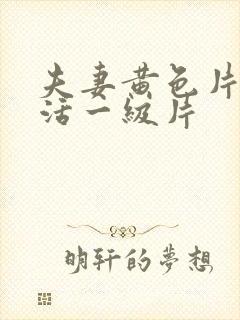 夫妻黄色片性生活一级片