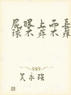 屁眼上面长个肉球不疼不痒封面