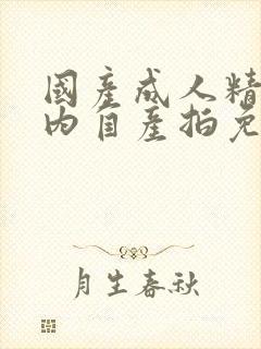 国产成人精品国内自产拍免费看