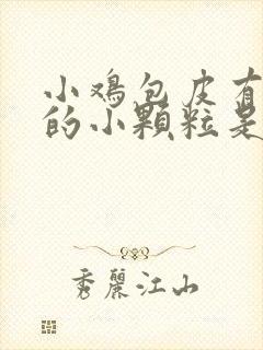 小鸡包皮有白色的小颗粒是怎么回事