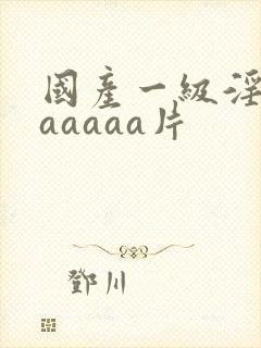 国产一级淫片aaaaaa片封面