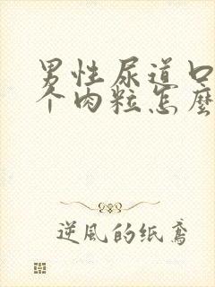 男性尿道口上长个肉粒怎么回事