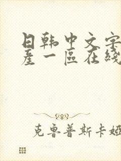 日韩中文字幕国产一区在线观看