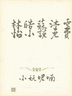 林皓苏沐云李静怡小说免费阅读