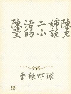 陈浩二婶陈丽小莹的小说免费阅读