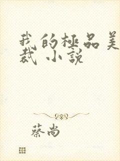 我的极品美女总裁 小说