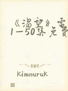 《渴望》电视剧1—50集免费播放