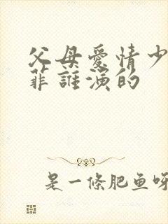 父母爱情少年亚菲谁演的